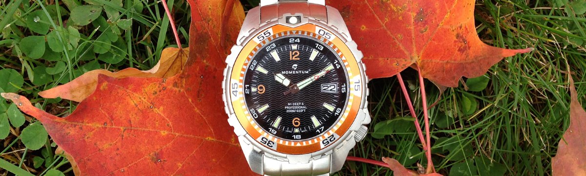 Momentum Watches | Momentum Blog | Dive Into Fall!