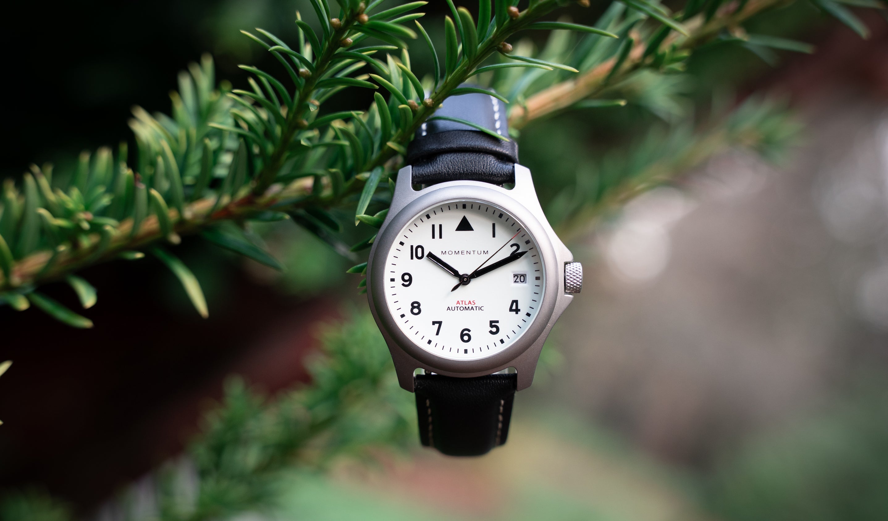 TOP 10 WATCHES