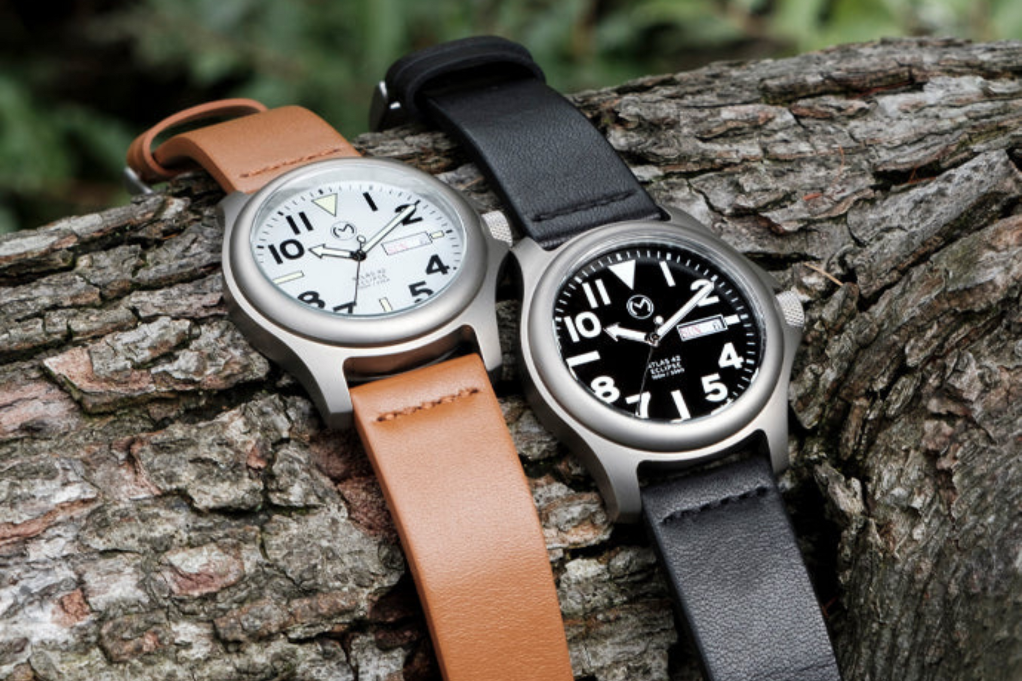 momentumwatch.com