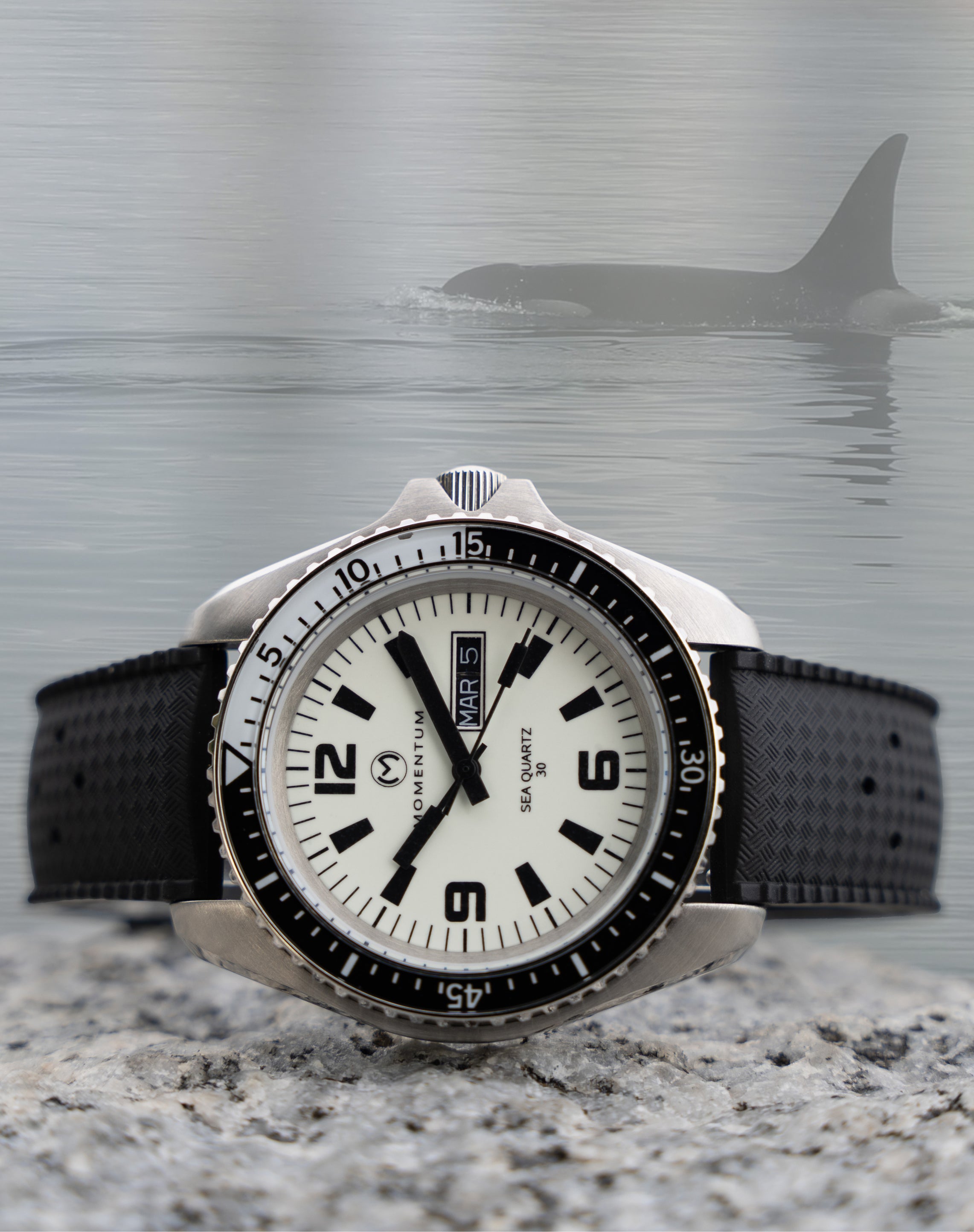 Sea Quartz "Orca" Full Lume