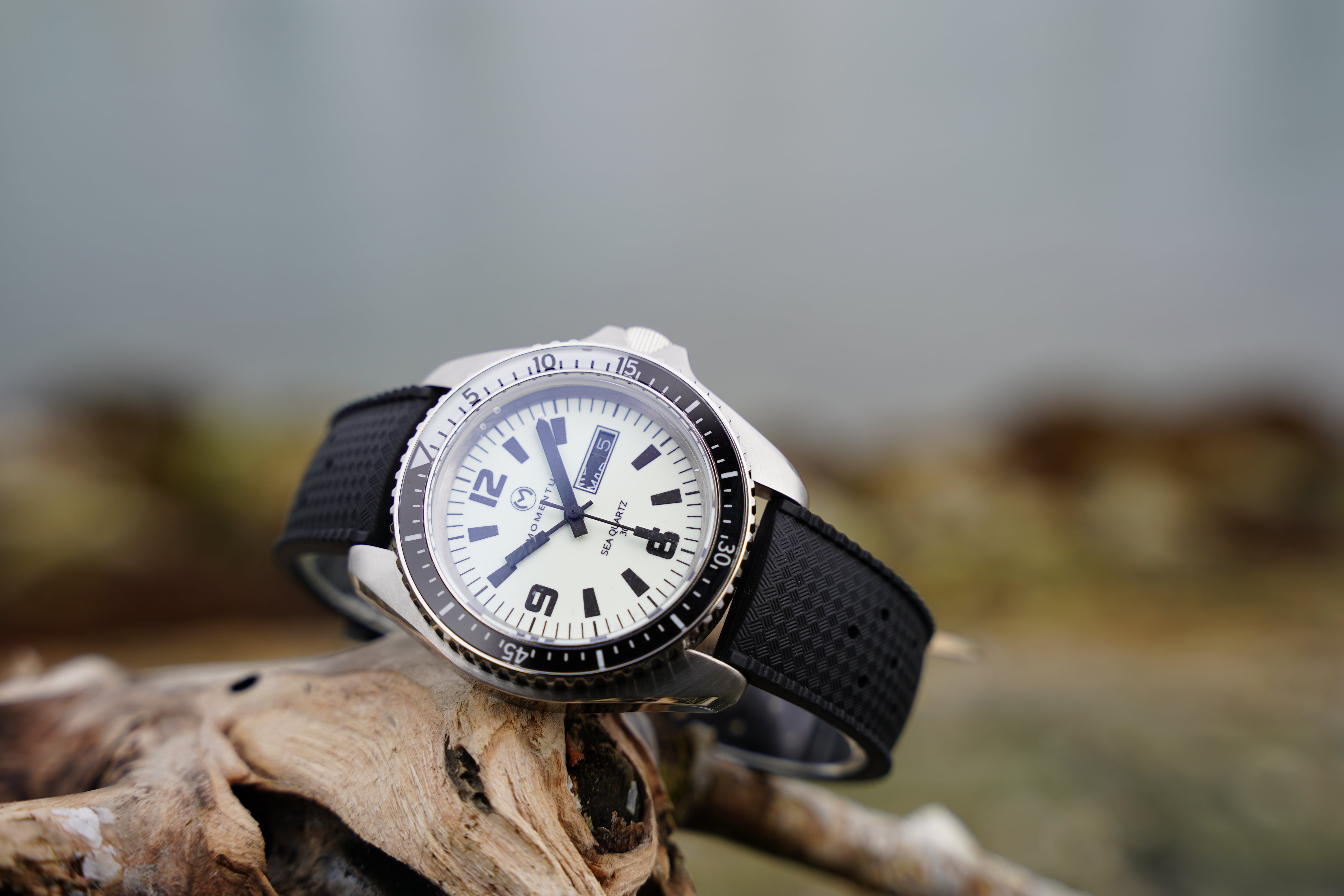 バルクオム Sea Quartz 'Orca' Full Lume [42mm]