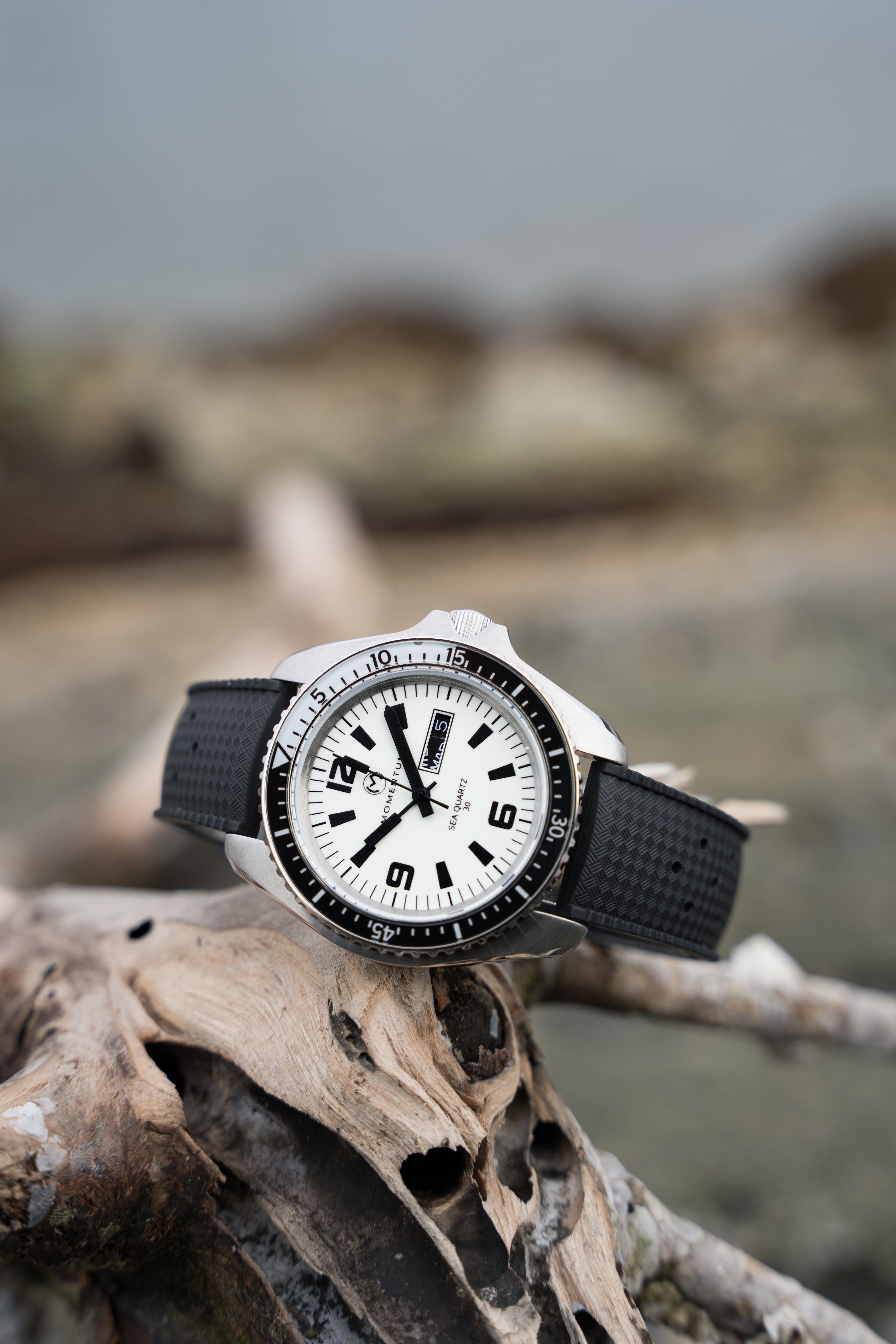 Sea Quartz 'Orca' Full Lume [42mm]