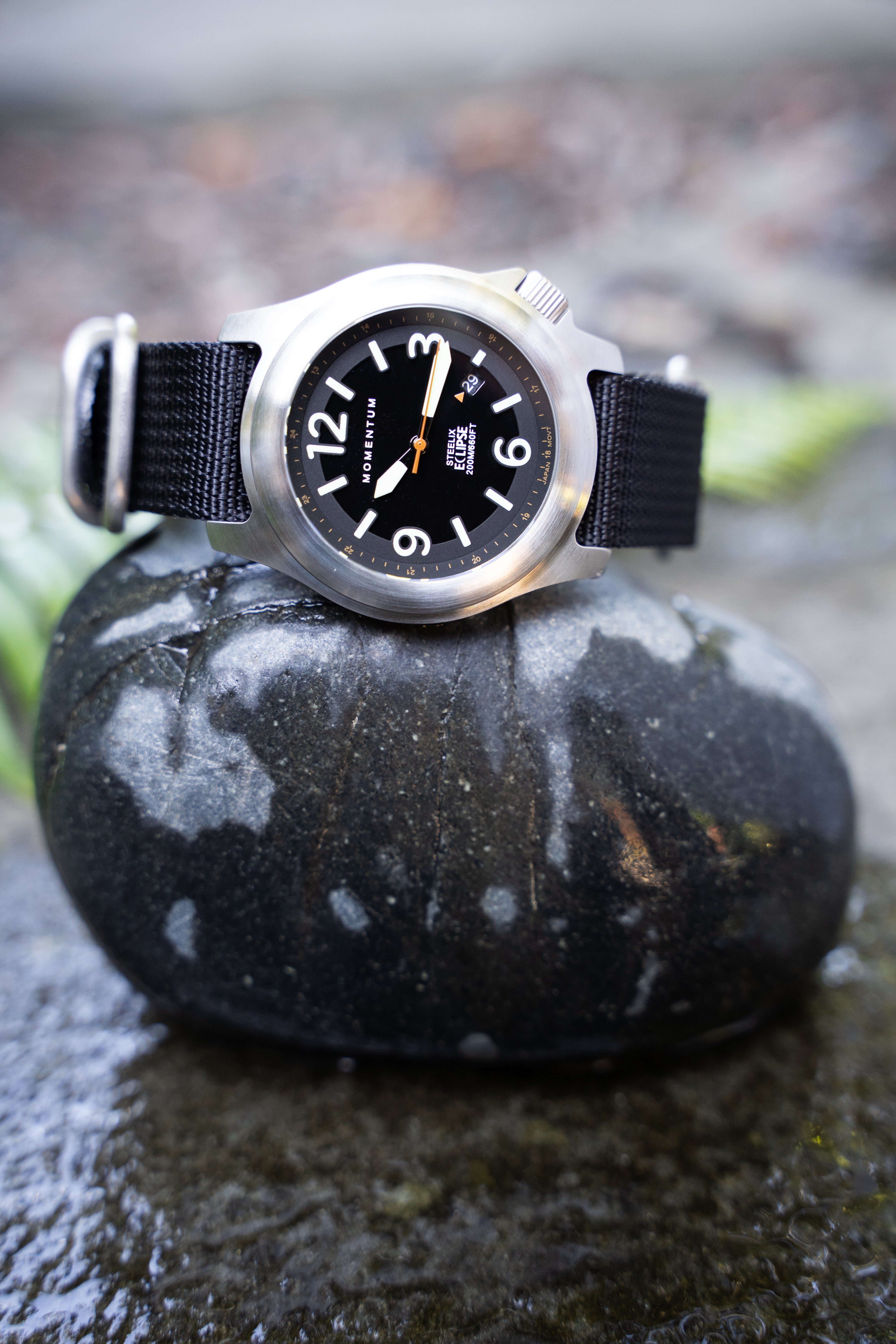 Steelix Eclipse [44mm] | Solar Field Watch | Momentum