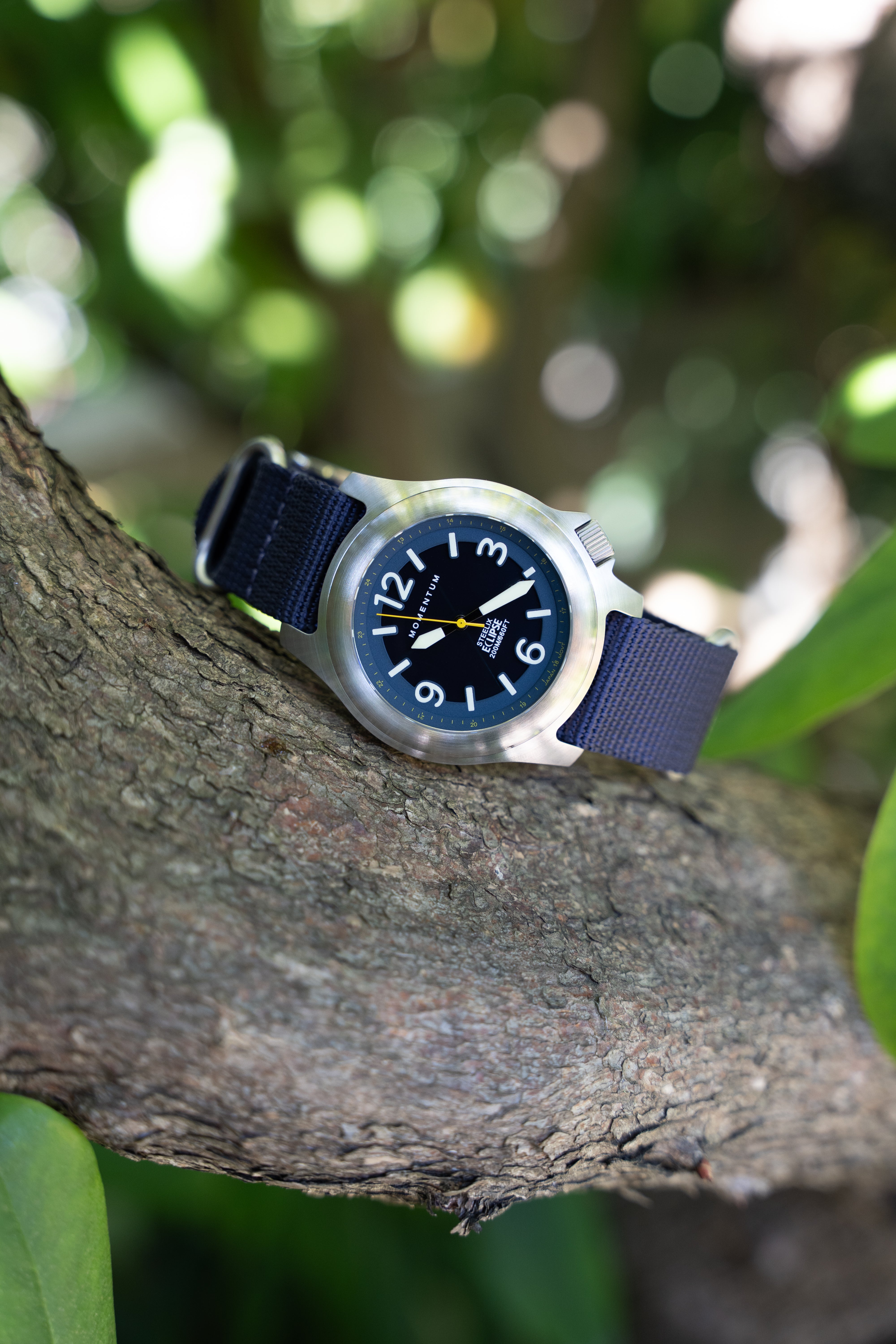 Steelix Eclipse - Solar [44mm] - Blue