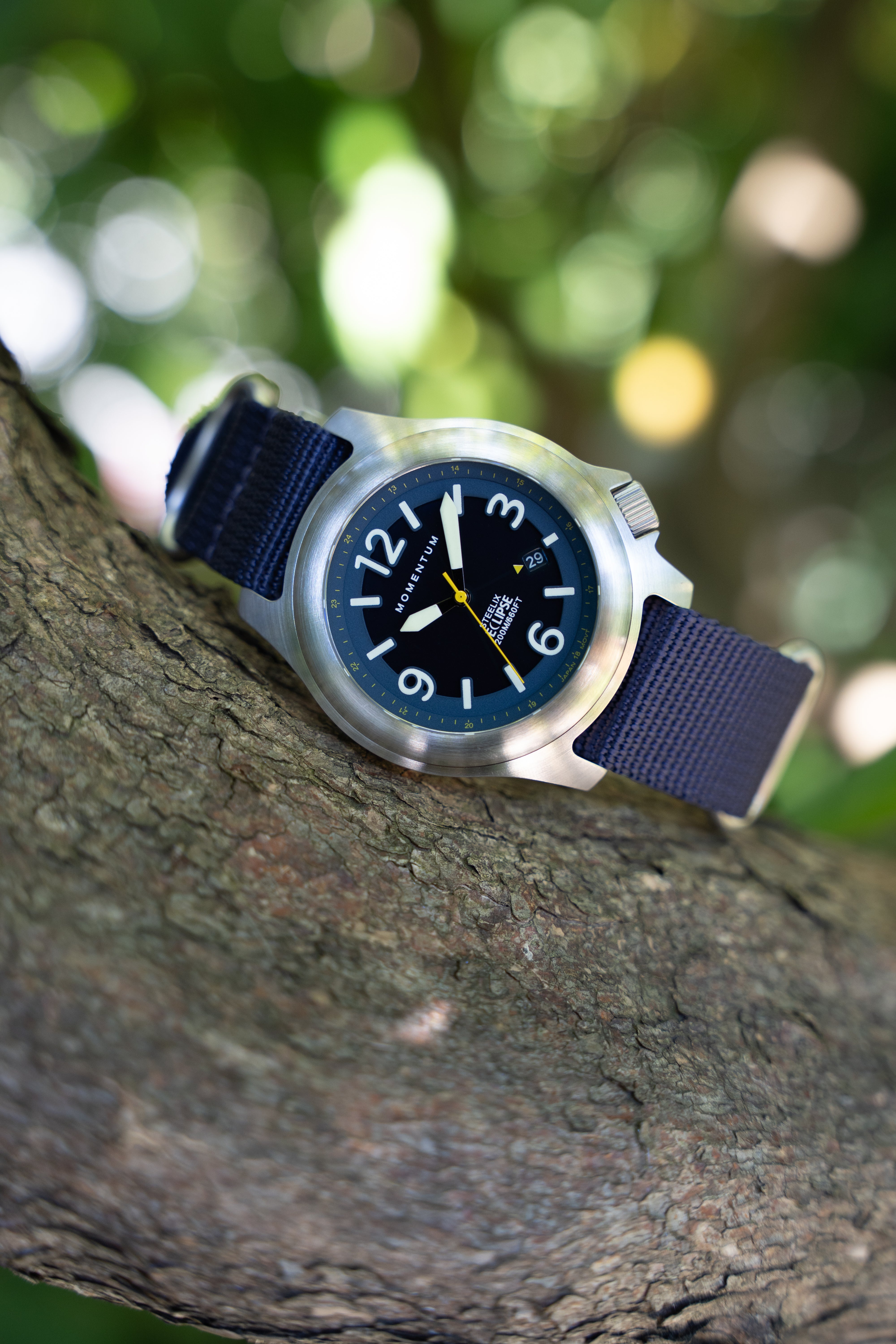 Steelix Eclipse - Solar [44mm] - Blue