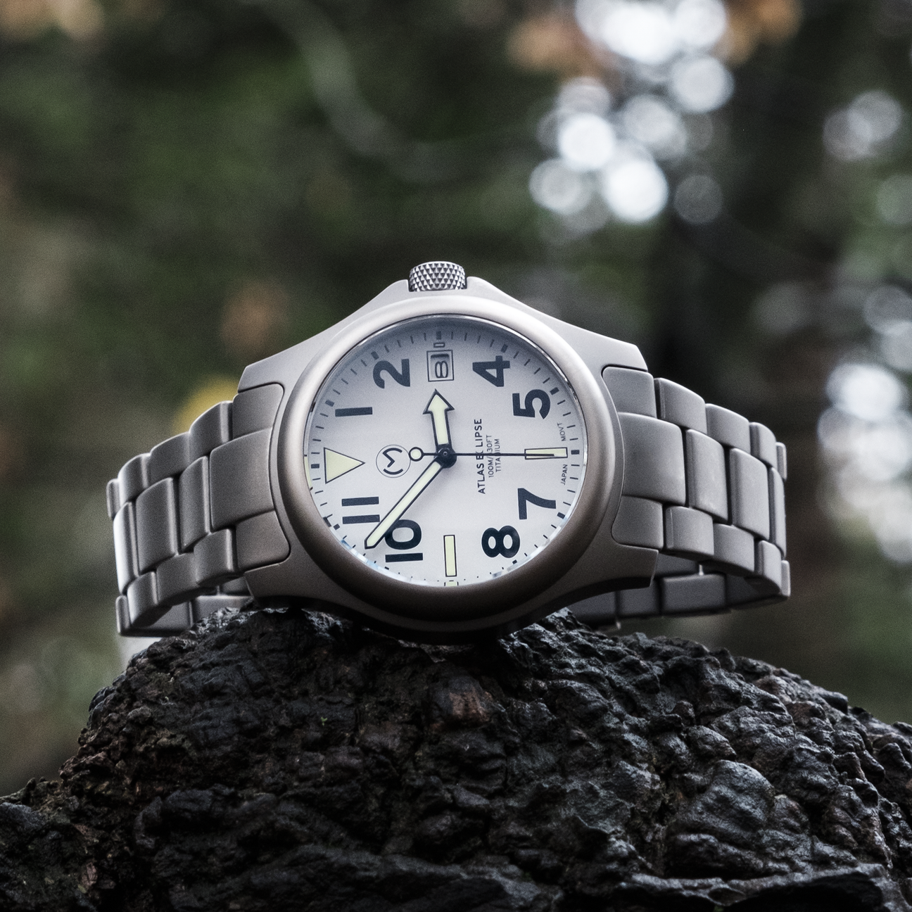 Titanium Bracelet Momentum Titanium Watch Titanium Momentum