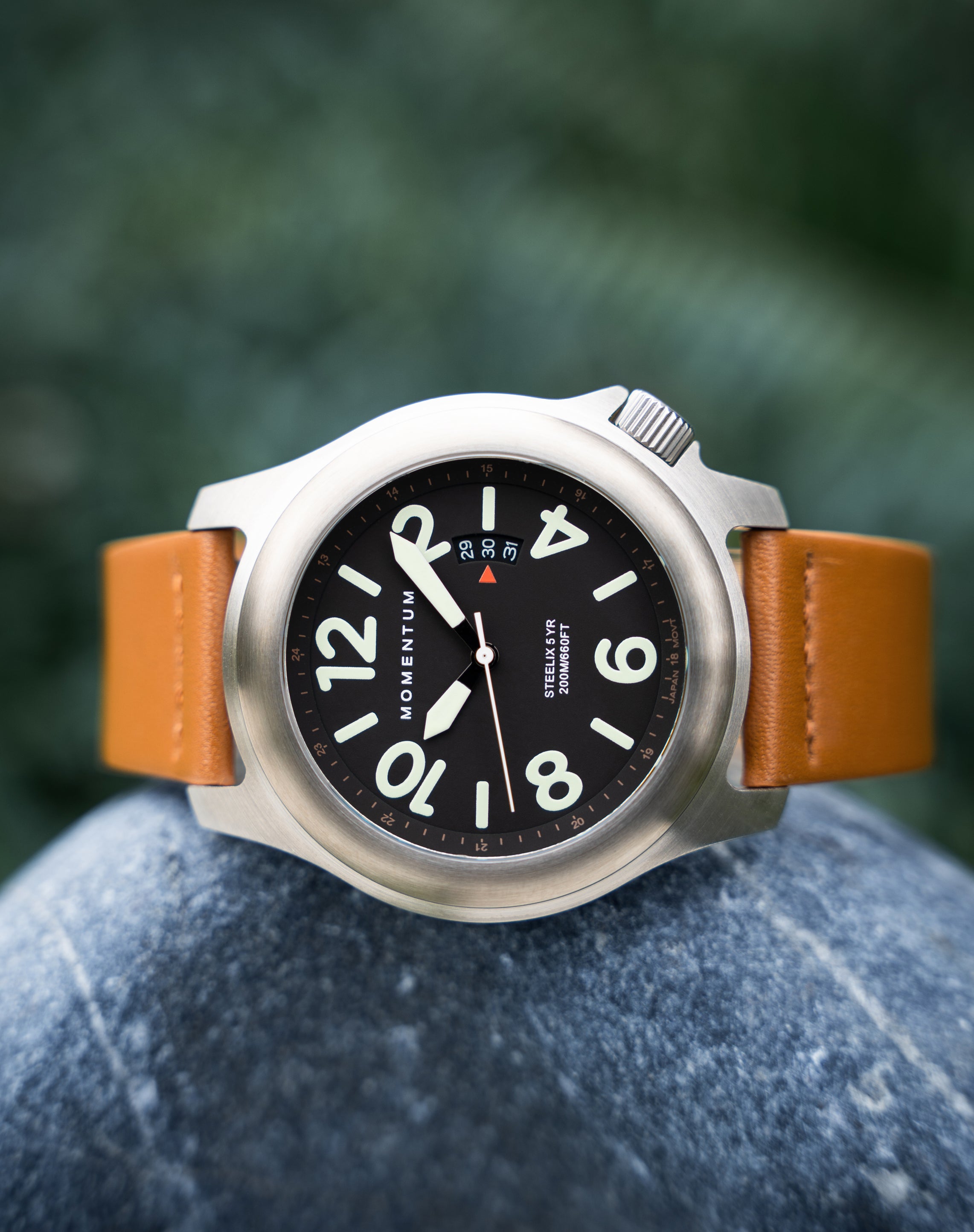 Steelix [44mm] - Black- Sapphire