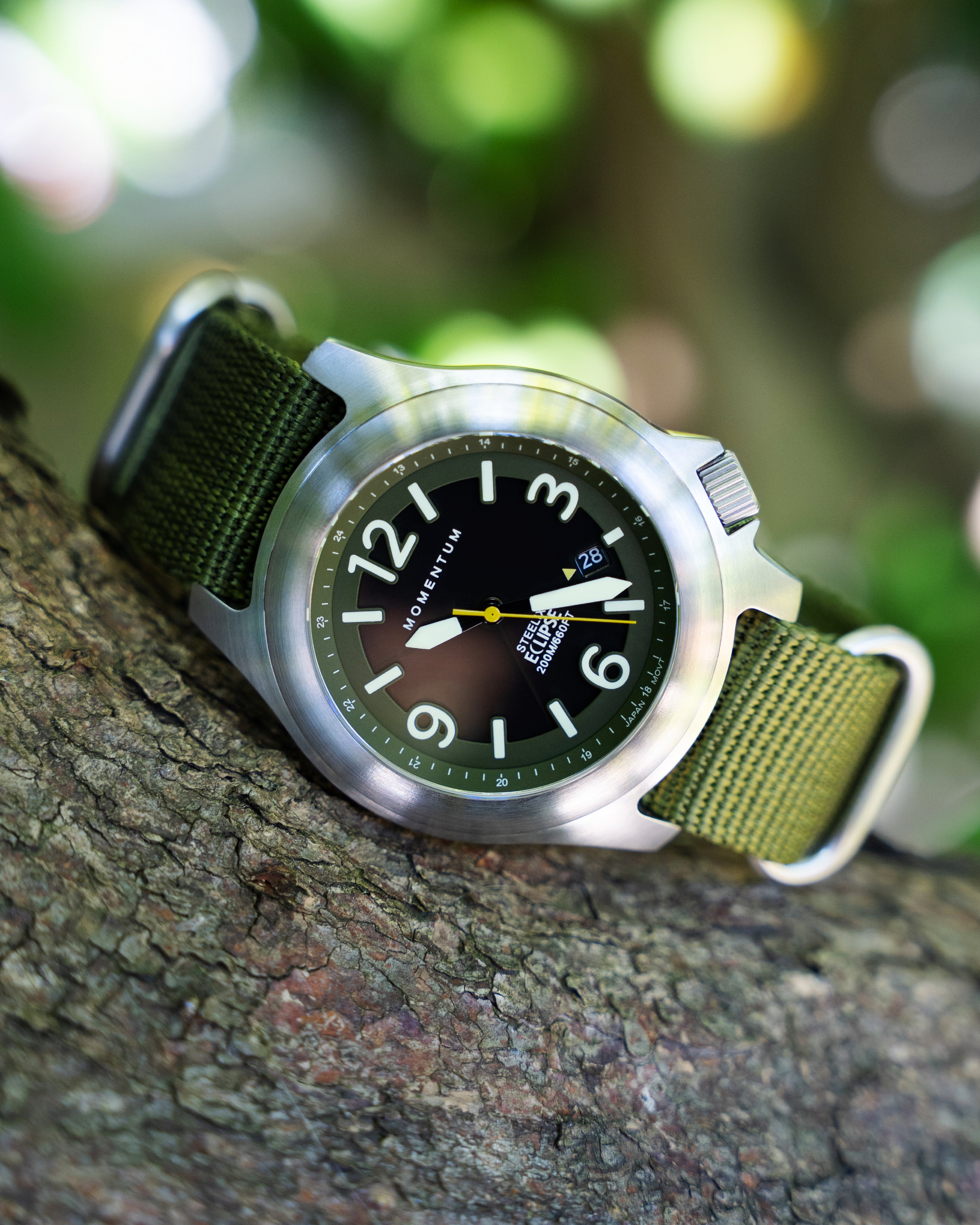 Steelix Eclipse [44mm] | Solar Field Watch | Momentum