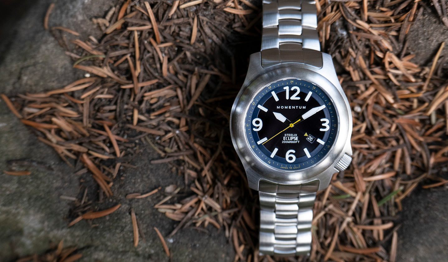 steelix-banner7.jpg?v=